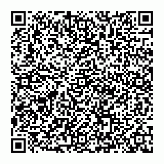 vCard 74993249984