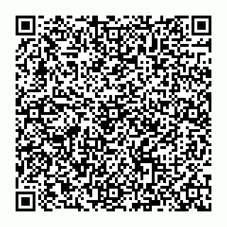 vCard 74993249987