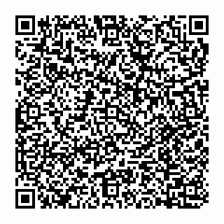 vCard 74993400313