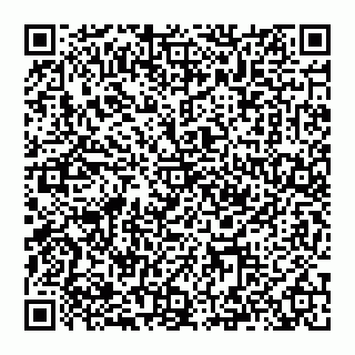 vCard 74993400538