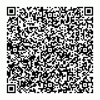 vCard 74993404732