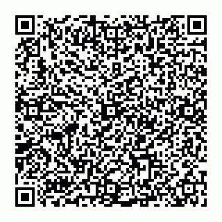 vCard 74993405208