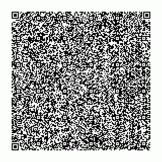 vCard 74993405312