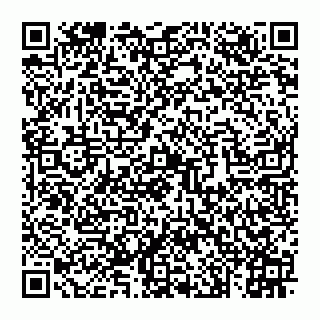 vCard 74993408113