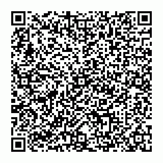 vCard 74993408153