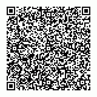 vCard 74993408384