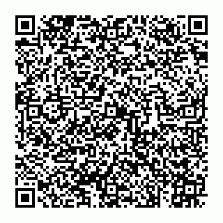 vCard 74993409204