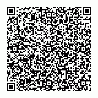 vCard 74993409207