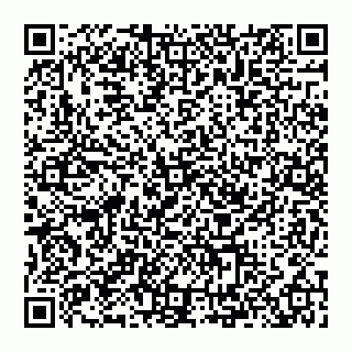 vCard 74993409209