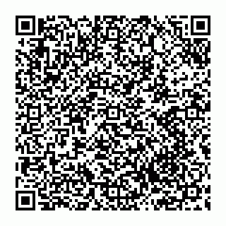 vCard 74993409211