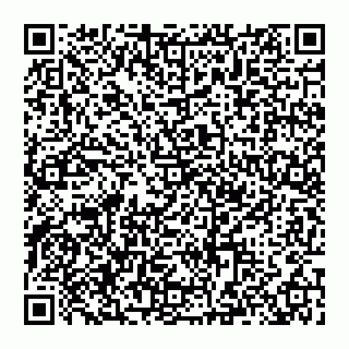 vCard 74993410299