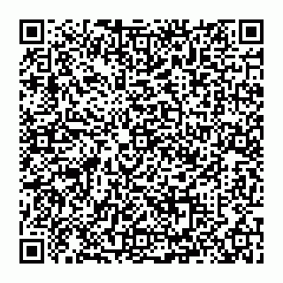 vCard 74993410313