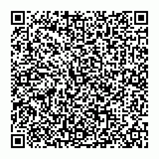 vCard 74993410331