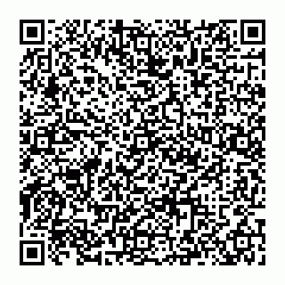 vCard 74993411251