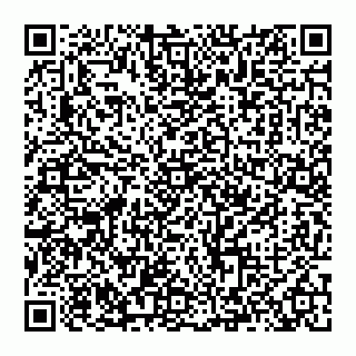 vCard 74993414537