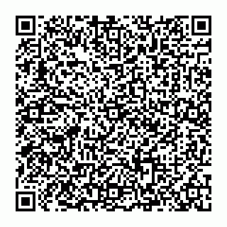 vCard 74993418137