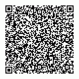 vCard 74993418153