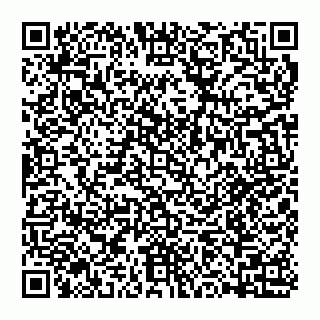 vCard 74993418173