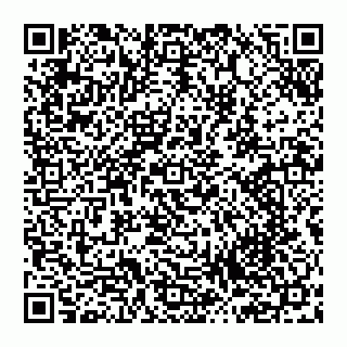 vCard 74993419013