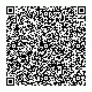 vCard 74993419296