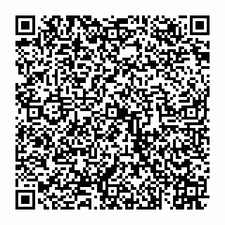 vCard 74993419305