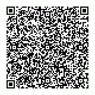 vCard 74993419711