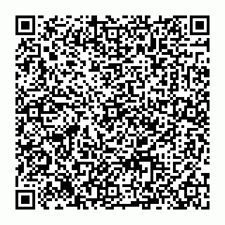 vCard 74993429031