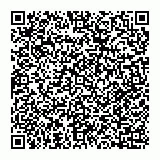 vCard 74993429032