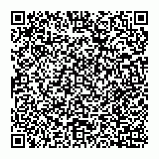 vCard 74993429063