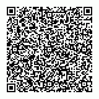 vCard 74993429111