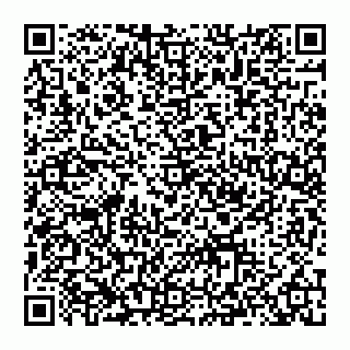 vCard 74993429129