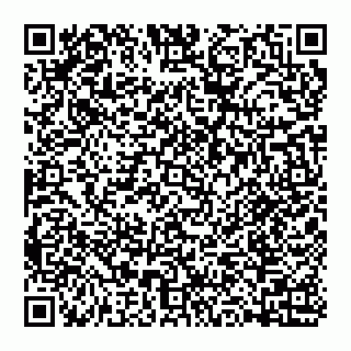 vCard 74993429131