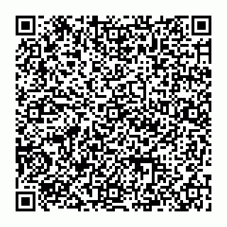 vCard 74993432299