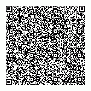 vCard 74993432676