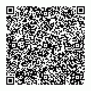 vCard 74993433307