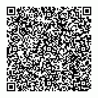 vCard 74993433775
