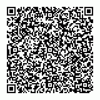 vCard 74993433778