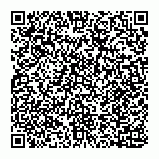 vCard 74993433780