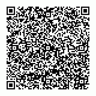 vCard 74993433781