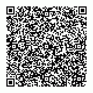 vCard 74993438783
