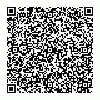 vCard 74993461373