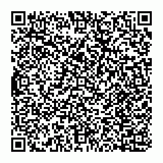 vCard 74993465381