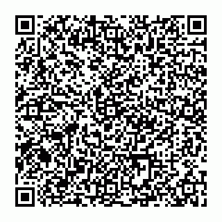 vCard 74993465387