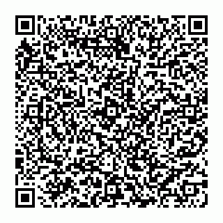 vCard 74993465536