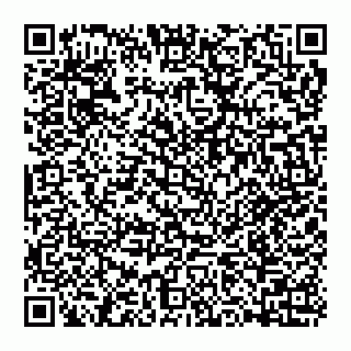 vCard 74993480003