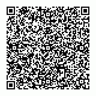 vCard 74993480131