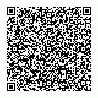 vCard 74993480153