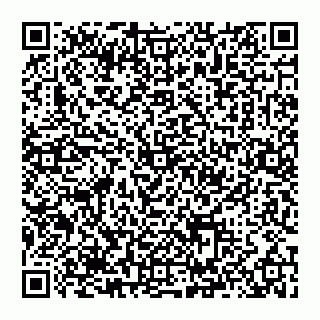 vCard 74993480339