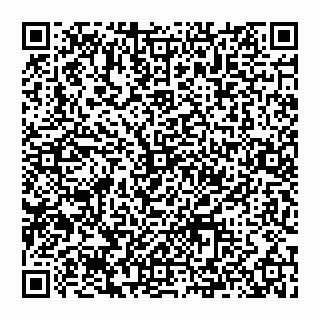 vCard 74993480369