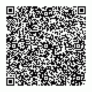 vCard 74993504065